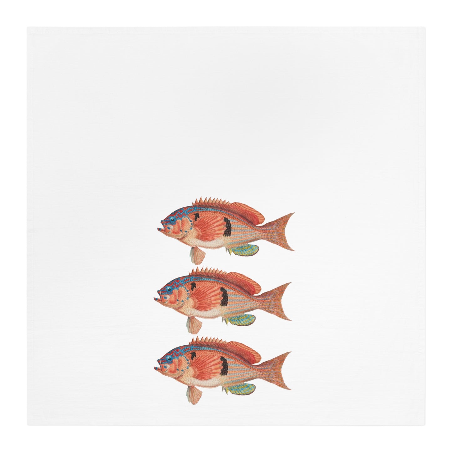 Vintage Fish Illustration Tea Towel
