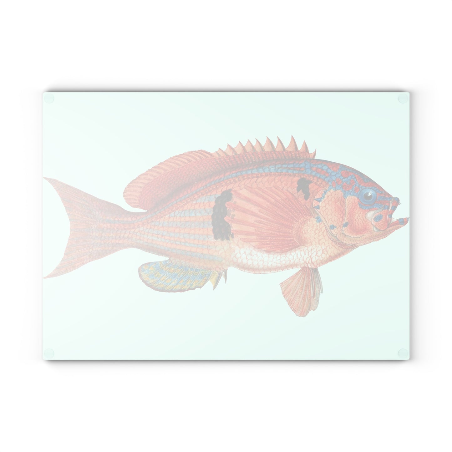 Vintage Fish Illustration Glass Cutting Board